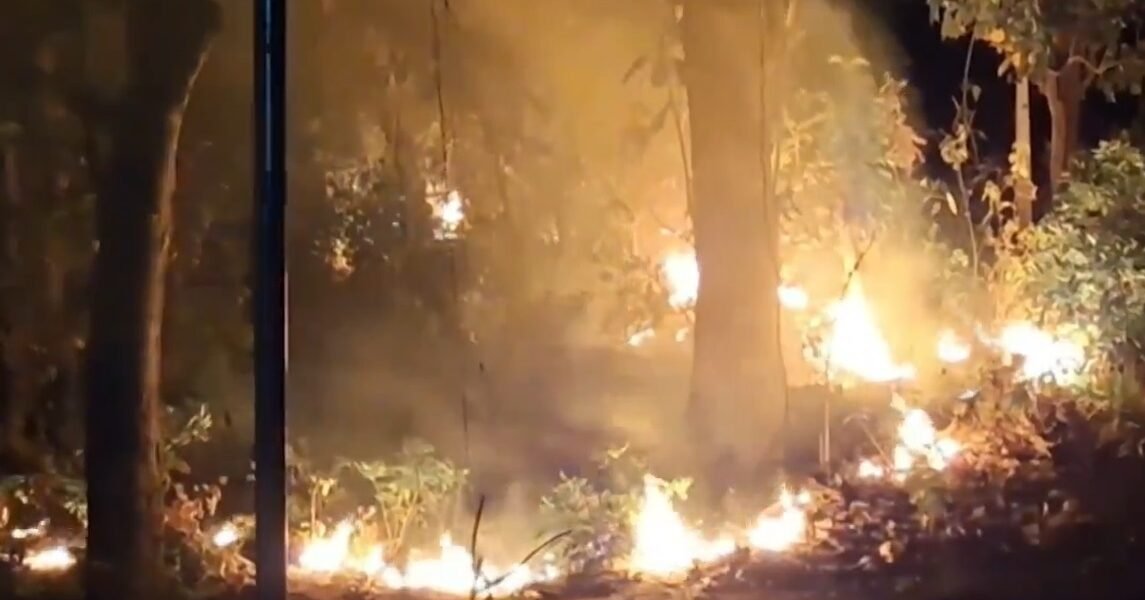 Efforts continue to control forest fire in Uttarakhand, eight people involved in the incident were arrested.