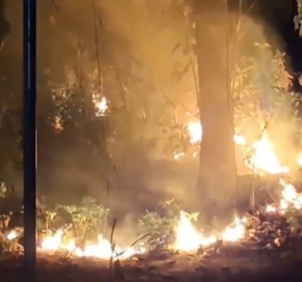 Efforts continue to control forest fire in Uttarakhand, eight people involved in the incident were arrested.
