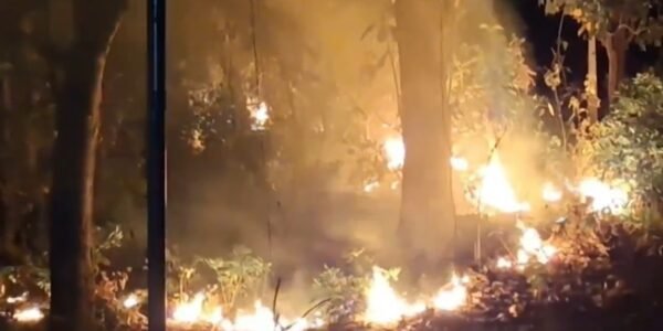 Efforts continue to control forest fire in Uttarakhand, eight people involved in the incident were arrested.