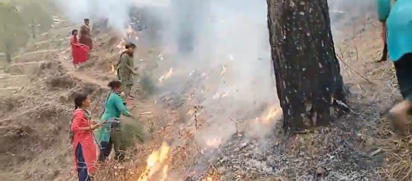 Forest fire situation improving in Kumaon and Garhwal divisions of Uttarakhand