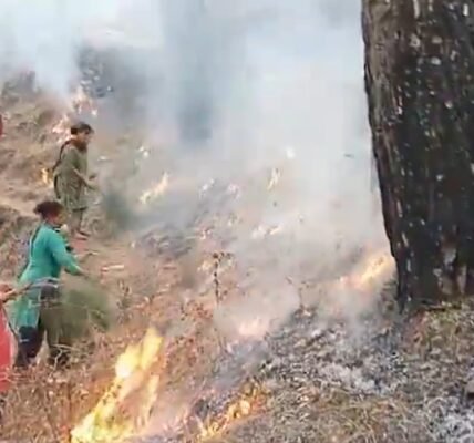 Forest fire situation improving in Kumaon and Garhwal divisions of Uttarakhand