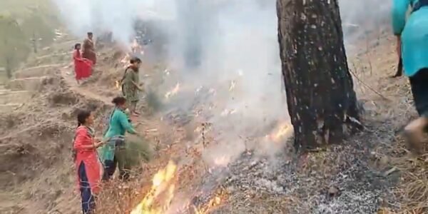 Forest fire situation improving in Kumaon and Garhwal divisions of Uttarakhand