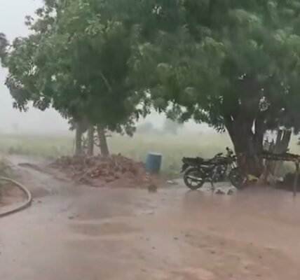 IMD predicts widespread rainfall in North-East India