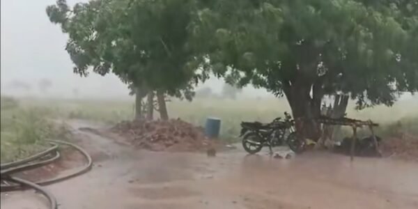 IMD predicts widespread rainfall in North-East India