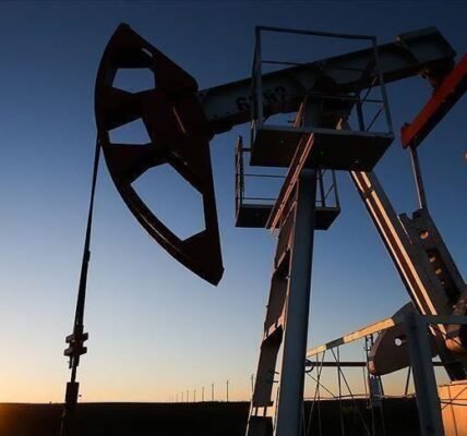 India's oil import