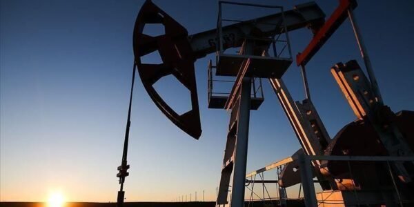 India's oil import