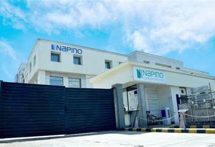 Nepino Auto & Electronics Limited