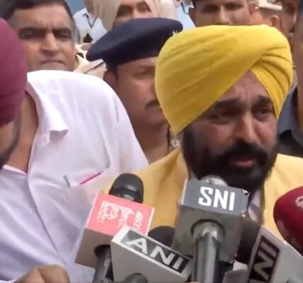 Punjab CM Bhagwant Mann met Kejriwal in Tihar Jail
