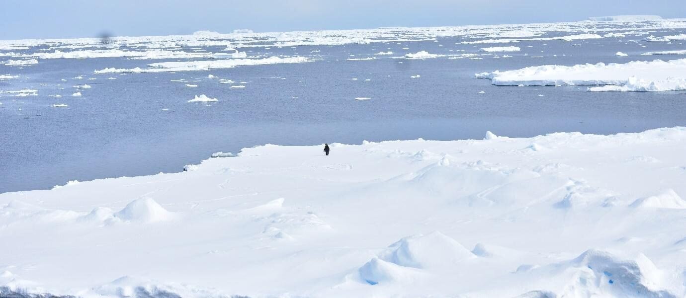 The past decade has seen a significant loss of sea ice in the Arctic due to global warming.