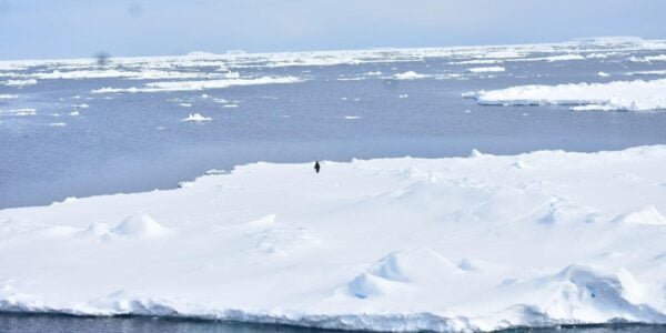 The past decade has seen a significant loss of sea ice in the Arctic due to global warming.