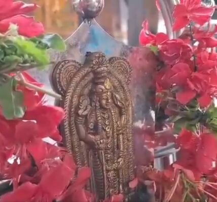festival of Vishu, the Malayalam new year, is being celebrated with enthusiasm and joy in Kerala and some parts of South India today