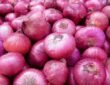 onion export