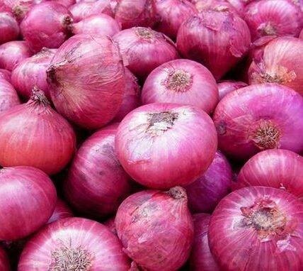 onion export