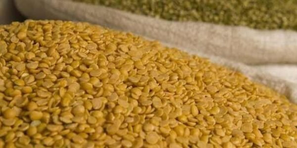 stock declaration of pulses