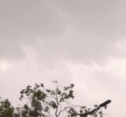 Delhi Rain