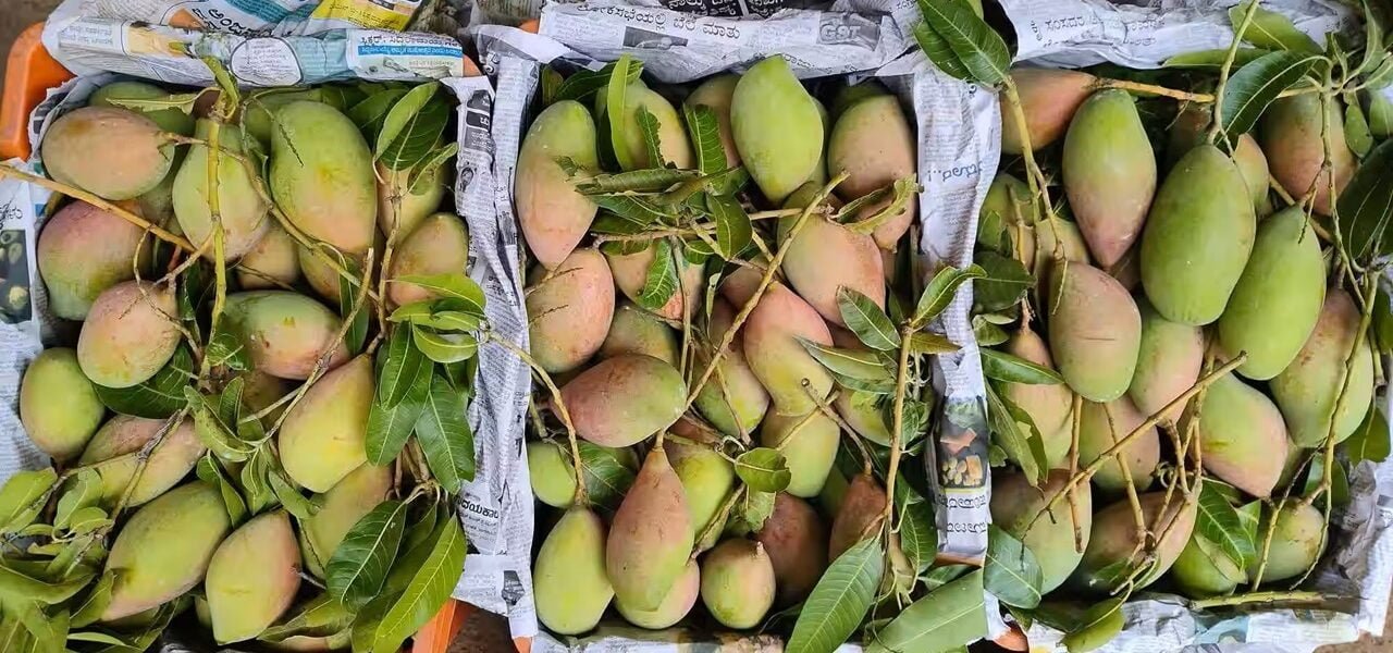FSSAI cautions fruit traders to ensure compliance of not using calcium carbide in ripening fruits