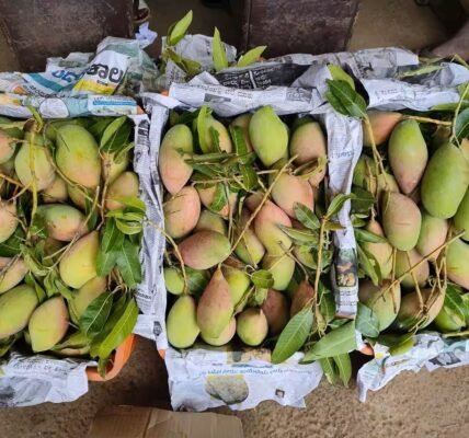 FSSAI cautions fruit traders to ensure compliance of not using calcium carbide in ripening fruits