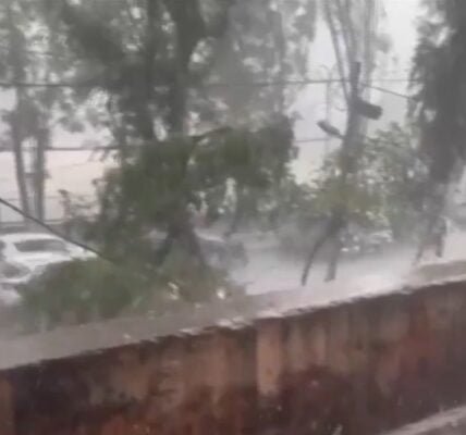 Heavy Rain