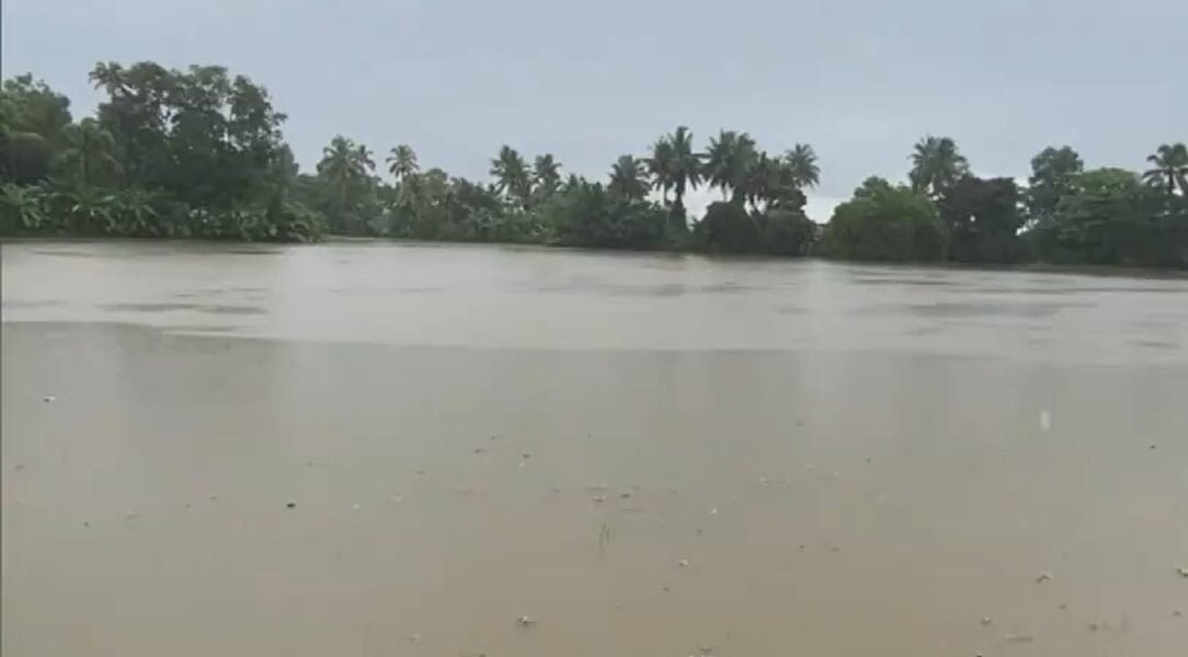 Monsoon hits Kerala coast and parts of Northeast