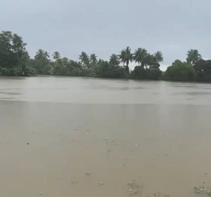 Monsoon hits Kerala coast and parts of Northeast