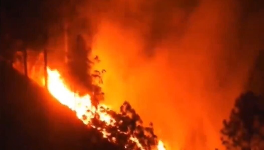 Two laborers of Nepali origin died and two people were injured in a forest fire in Seunrakot, Almora district of Uttarakhand.