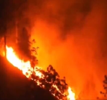 Two laborers of Nepali origin died and two people were injured in a forest fire in Seunrakot, Almora district of Uttarakhand.