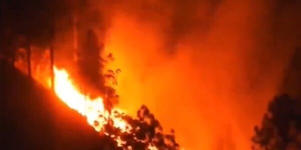 Two laborers of Nepali origin died and two people were injured in a forest fire in Seunrakot, Almora district of Uttarakhand.