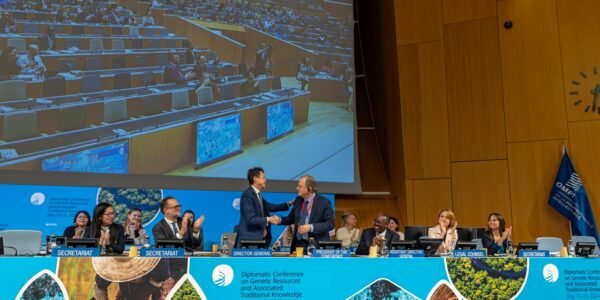 World Intellectual Property Organization (WIPO) treaty, a big win for India and developing countries (Global South)