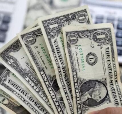 foreign exchange reserves