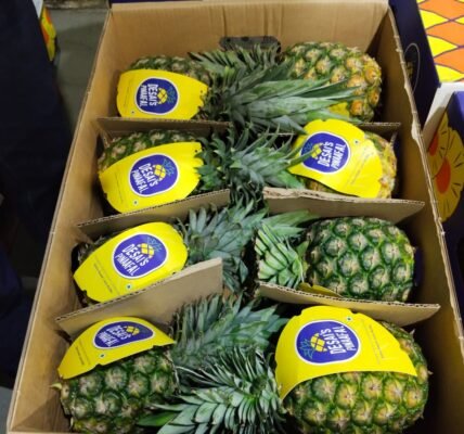 APEDA facilitates first shipment of MD2 variety of pineapples from India to UAE