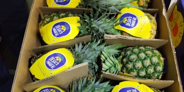 APEDA facilitates first shipment of MD2 variety of pineapples from India to UAE