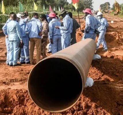 African country Niger confirmed that rebels damaged the oil pipeline supplying crude oil to neighboring country Benin
