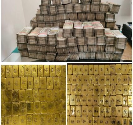 DRI seized contraband worth Rs 3,500 crore in FY 2023-24