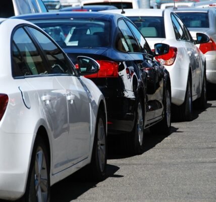 Driving a motor vehicle without valid motor third party insurance a punishable offence