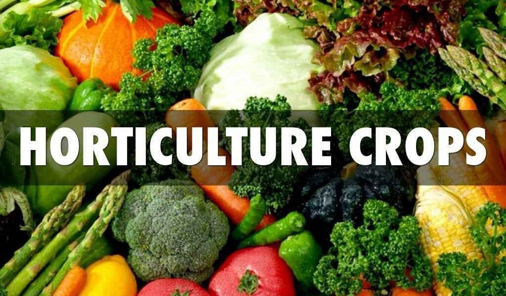 Horticulture production