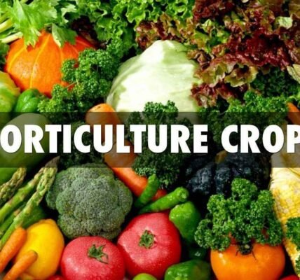 Horticulture production