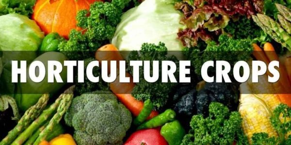 Horticulture production