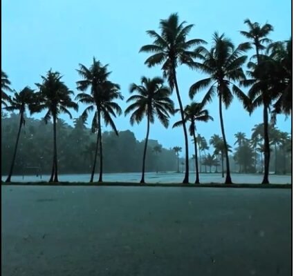 IMD issued an orange alert for heavy rains in three districts and a yellow alert in nine districts of Kerala for today