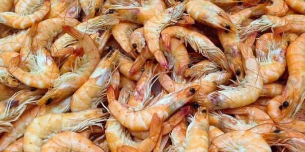 India's seafood exports