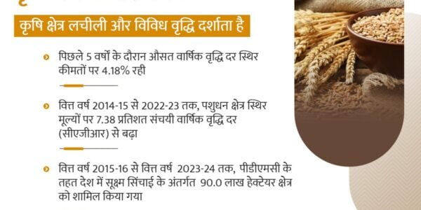 Allied sectors of Indian agriculture have proved to be very important for improving agricultural income Economic Survey