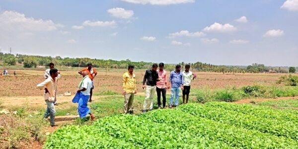 Allowing Sale of Excess FCV Tobacco Produced by Registered Growers on the Auction Platforms in Andhra Pradesh for 2023-24 Crop Season