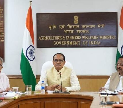Enough opportunity to promote maize and soybean in Chhattisgarh, the Center will provide full help - Shivraj Singh Chouhan