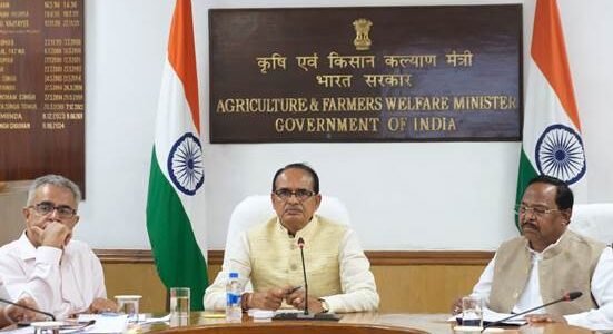 Enough opportunity to promote maize and soybean in Chhattisgarh, the Center will provide full help - Shivraj Singh Chouhan