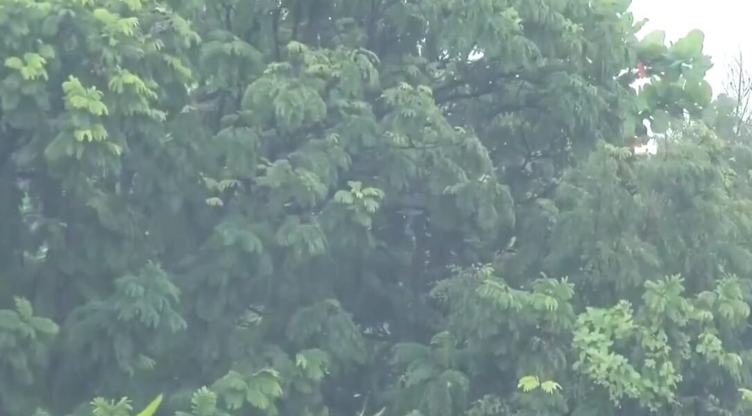 Light rain occurred in many parts of the national capital Delhi