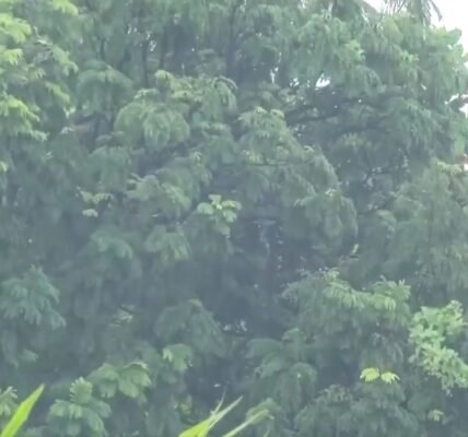 Light rain occurred in many parts of the national capital Delhi