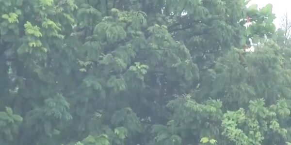 Light rain occurred in many parts of the national capital Delhi
