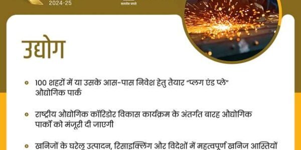 Twelve investment-ready “plug and play” industrial parks with infrastructure to be developed under National Industrial Corridor Development Programme Union Budget 2024-25