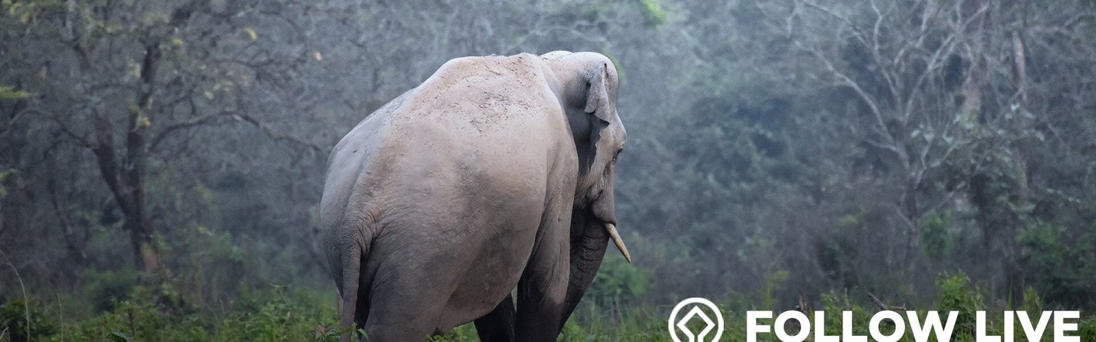 UNESCO inducts seven new historical sites into the World Heritage List at the 46th World Heritage Committee session