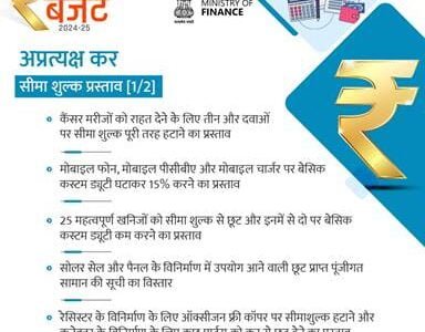 Union Budget 2024 exempts 25 critical minerals, three more cancer drugs from customs duty