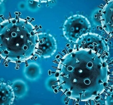 excess mortality rate from all causes in India in 2020 compared to the previous year is much lower than the 1.19 million deaths reported in the Science Advances paper